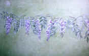 Frise glycine