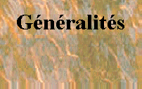 texture4.gif (31968 octets)