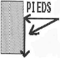 vecteurspied.JPG (8190 octets)