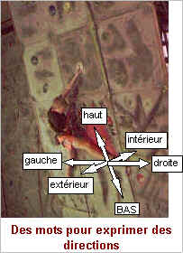 wpe5.jpg (12072 octets)