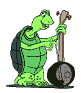 anim_tortue.gif (18242 octets)