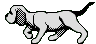 dog.gif (3048 octets)